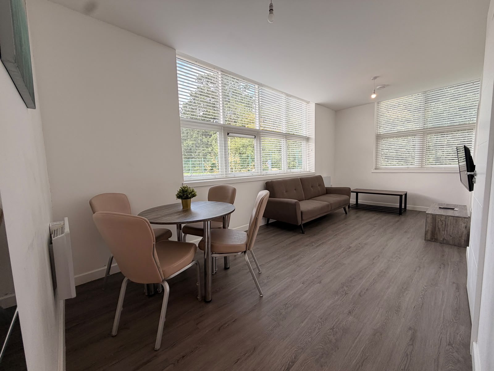 Living and dining area